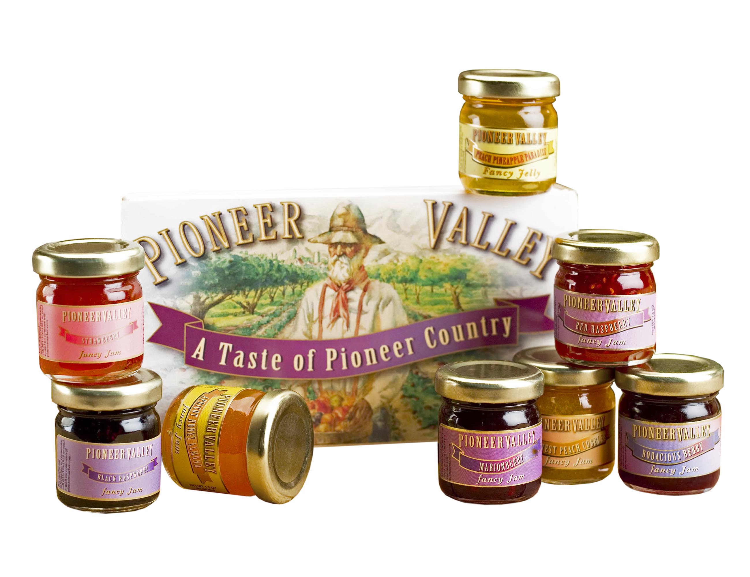 Pioneer Valley Souvenir Gourmet Jam Jelly Sampler Gift Set Box Fruit